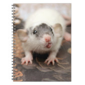 Ratte Ratte! Notizblock (Vorderseite)