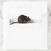 Ratte stcna rechteckiger aufkleber (Tasche)
