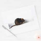 Ratte stcna rechteckiger aufkleber (Umschlag)