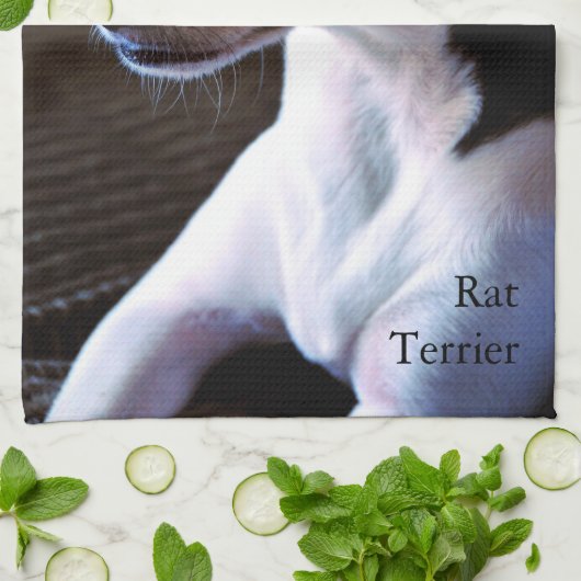 Ratte Terrier Handtuch (Gefaltet)
