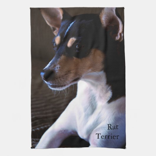 Ratte Terrier Handtuch (Vertikal)