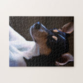 Ratte Terrier Puzzle (Horizontal)