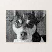 Ratte Terrier, Schwarzweiss, Puzzle (Horizontal)