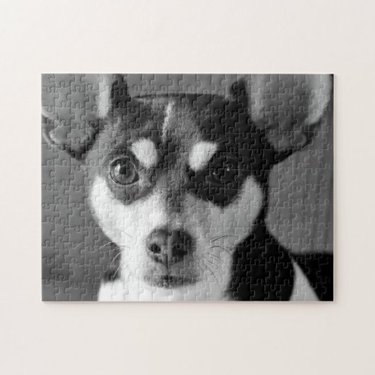 Ratte Terrier, Schwarzweiss, Puzzle (Horizontal)