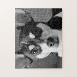 Ratte Terrier, Schwarzweiss, Puzzle