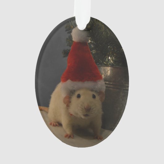 Ratte Weihnachtsmanns Dumbo Ornament (Rückseite)