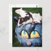 Ratten auf der Postkarte des Gehirns (Vorne/Hinten)