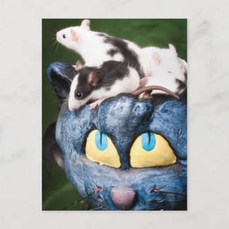 Ratten auf der Postkarte des Gehirns