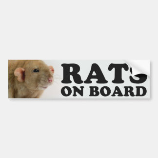 Ratten Autoaufkleber