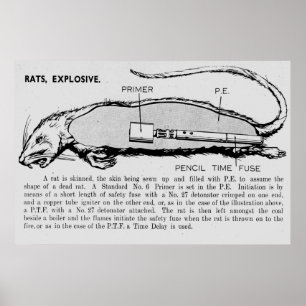 Ratten-Bombe, Katalog mit Beschreibung der Poster