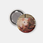 Ratten essen Erdnussbutter-Sandwiches Magnet (Vorderseite/Rückseite)