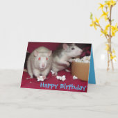 Ratten feiern Geburtstagskarte Karte (Gelbe Blume)