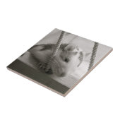 Ratten-Fliese Fliese (Seite)