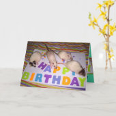 Ratten-Geburtstags-Karte! v2 Karte (Gelbe Blume)