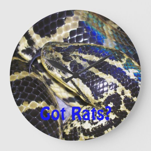 Ratten got? Anaconda Clock Große Wanduhr (Vorderseite)