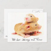 Ratten-Liebhaber immer und für immer Postkarte (Vorne/Hinten)