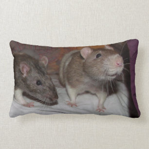 Ratten Lumbarkissen Lendenkissen