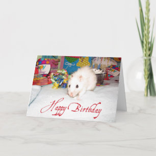 Ratten Marta Birthday Card Karte