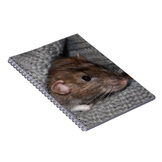 Ratten-Notizbuch Notizblock (Rechte Seite)