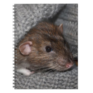 Ratten-Notizbuch Notizblock