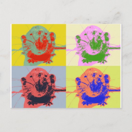 Ratten Postkarte (Vorderseite)