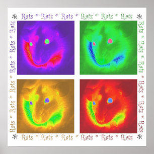 Ratten-Ratten-Ratten-Plakat Poster