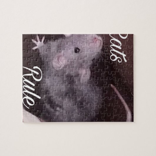 Ratten-Regel Puzzle (Horizontal)