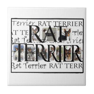 Ratten-Terrier-Collage Fliese