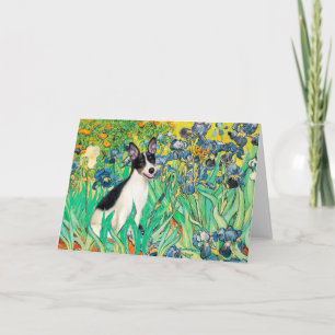 Ratten Terrier - Irises Karte
