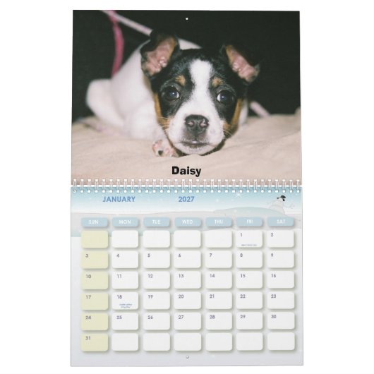 Ratten-Terrier-Kalender 2007 Kalender (Jan 2027)