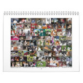 Ratten-Terrier-Kalender 2007 Kalender (Titelbild)