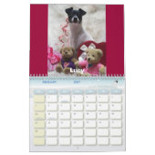 Ratten-Terrier-Kalender 2007 Kalender (Feb 2027)