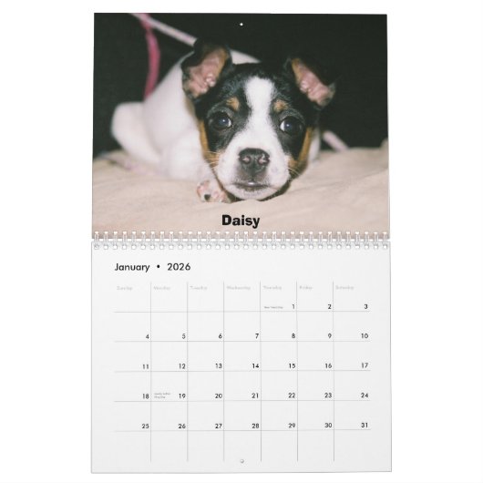 Ratten-Terrier-Kalender Kalender (Jan 2026)
