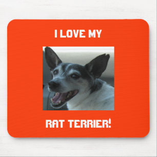 Ratten-Terrier-Mausunterlage Mousepad