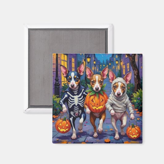 Ratten Terrier Trick-or-Treating Halloween-Kostüme Magnet (Vorderseite/Rückseite)