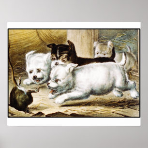 Ratten-Terrier-Welpen - Vintage feine Kunst Poster