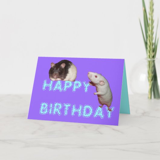 Ratten zum Geburtstag Karte (Vorderseite)