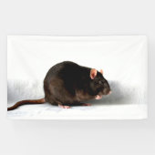 Rattenbänder Banner (Horizontal)