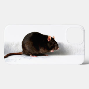 Ratteniphcna Case-Mate iPhone Hülle