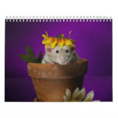 Rattenkalender 2011 kalender (Titelbild)