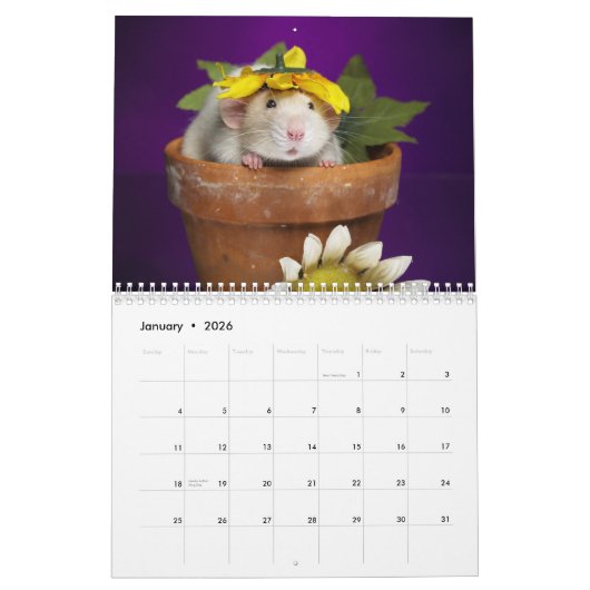 Rattenkalender 2012 kalender (Jan 2026)