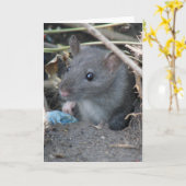 Rattenkarte Karte (Gelbe Blume)