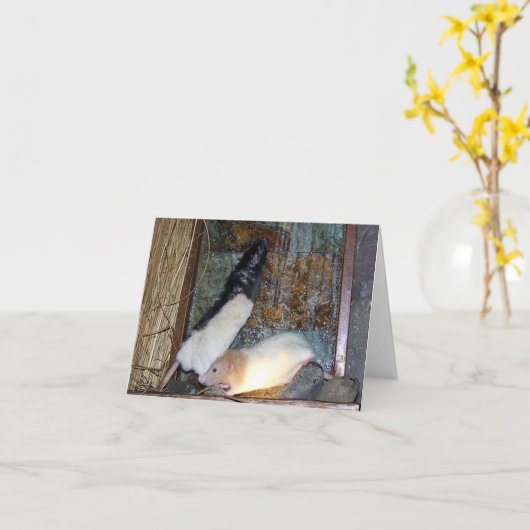 Rattenkarte Rex und Gizmo Karte (Gelbe Blume)