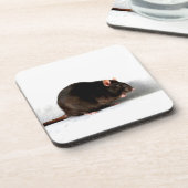 Rattenküste Getränkeuntersetzer (Linke Seite)