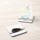 Rattenküste Getränkeuntersetzer (Rechte Seite)