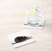 Rattenküste Rechteckiger Pappuntersetzer (Vor Ort)