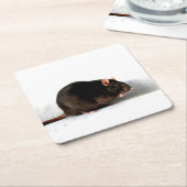 Rattenküste Rechteckiger Pappuntersetzer (angewinkelt)