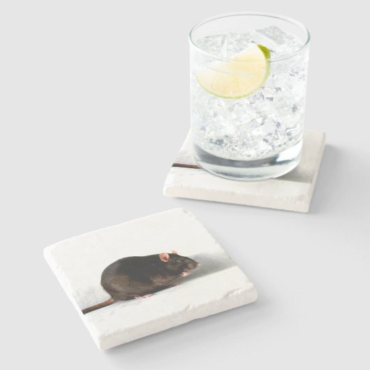 Rattenküste Steinuntersetzer (Seitenansicht)