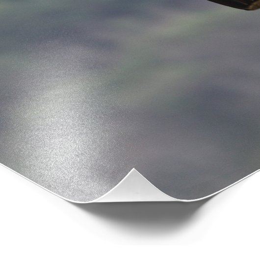 Rattenposter Fotodruck (Ecke)