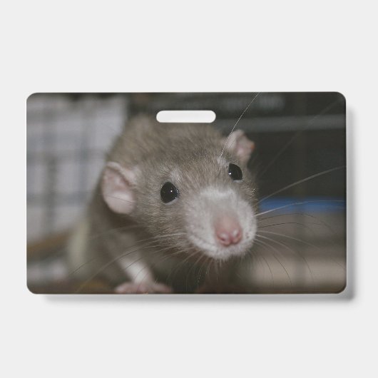 Rattenrat Ausweis (Vorderseite)